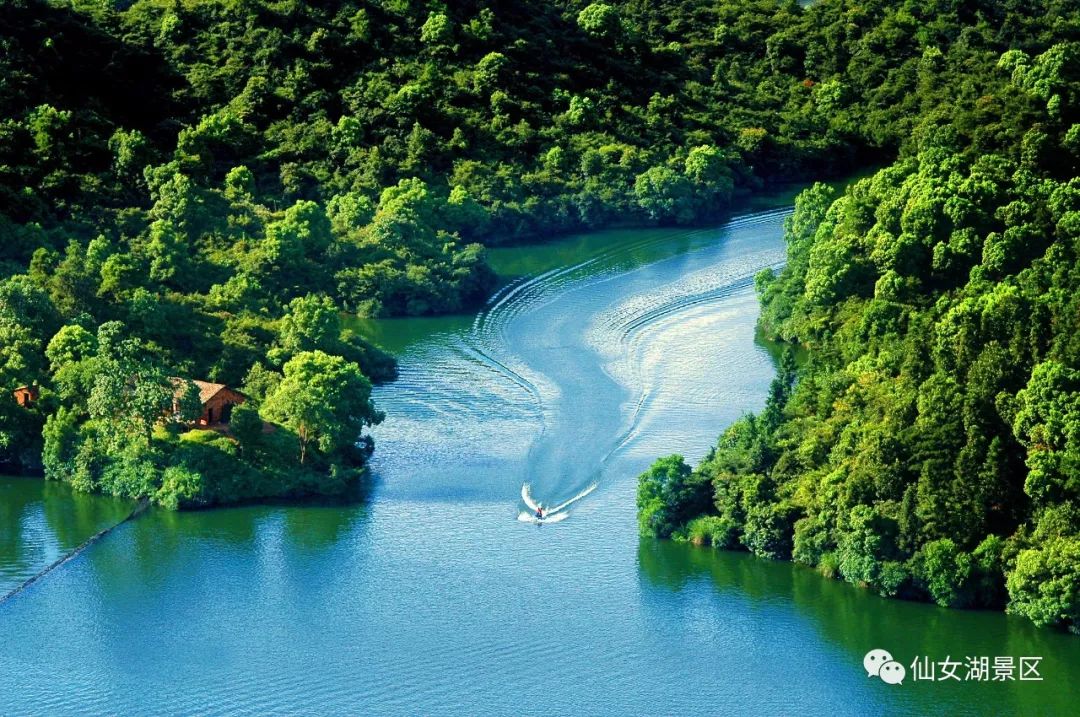 3月8号妇女节国家有规定放假吗,3月8日妇女节公司不给放假合法吗