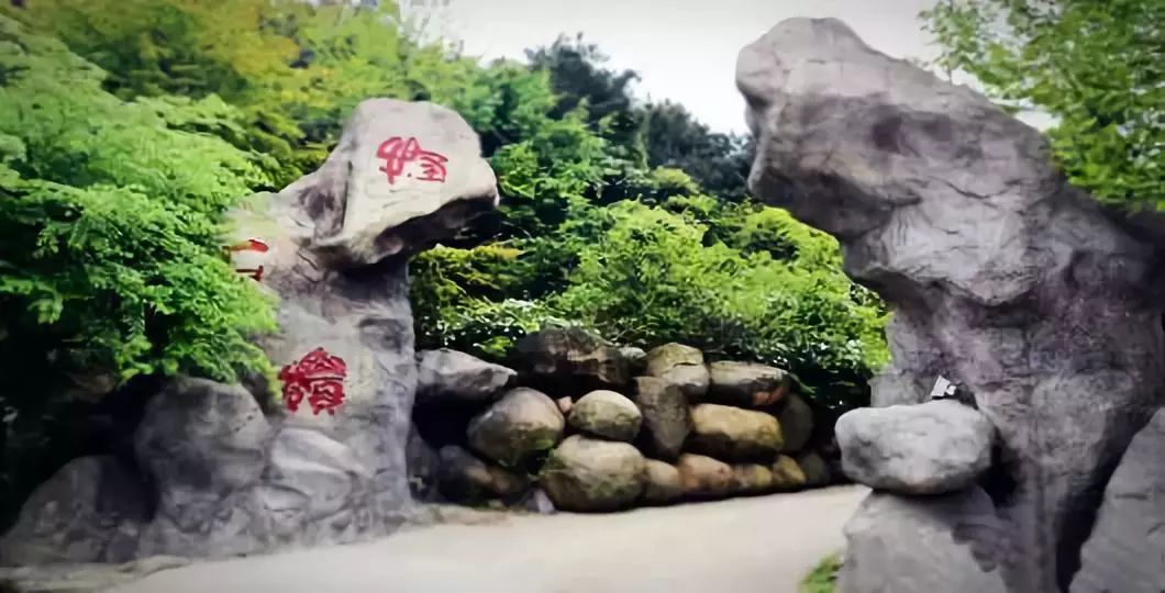 3月8号妇女节国家有规定放假吗,3月8日妇女节公司不给放假合法吗