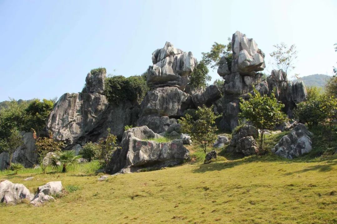 3月8号妇女节国家有规定放假吗,3月8日妇女节公司不给放假合法吗