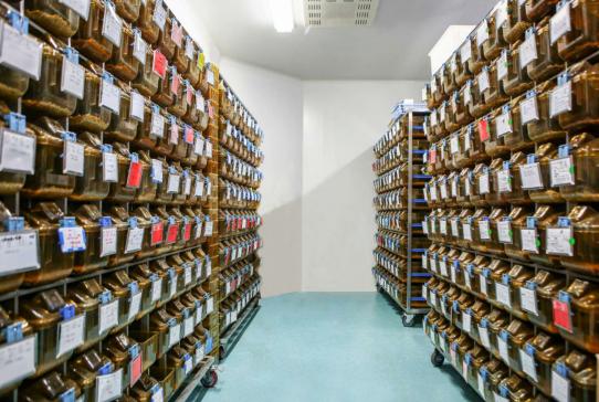 三年磨一剑，为直饮水浩泽缘何“大动干戈”？