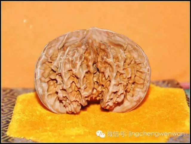 文玩核桃术语大全图解,核桃手串术语