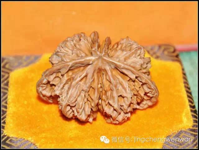 文玩核桃术语大全图解,核桃手串术语