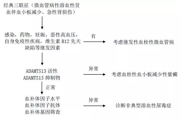 非典型溶血性尿毒症判断标准,非典型溶血性尿毒症治疗药物