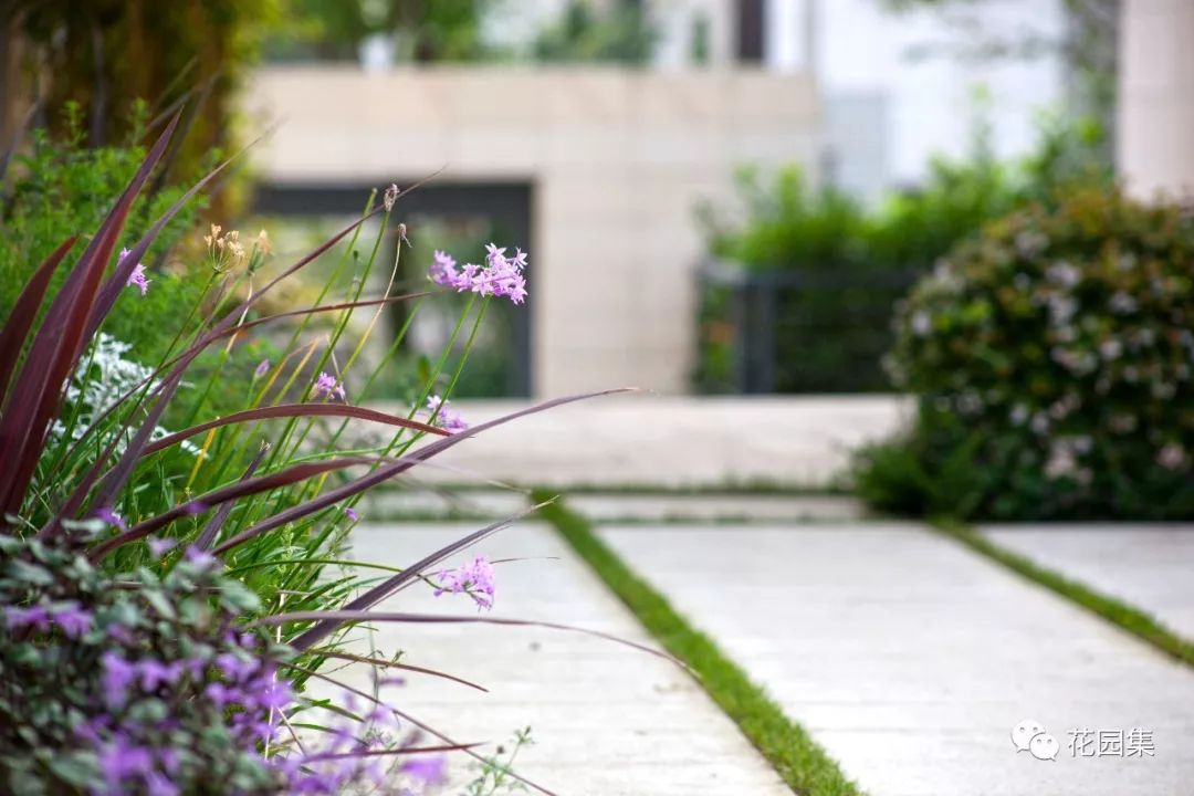 园集奖最佳作品｜一座湖景花园，一处离尘不离城的隐居之所