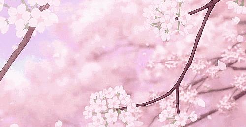 秘籍｜入春换季，生活不易，敏感肌不叹气