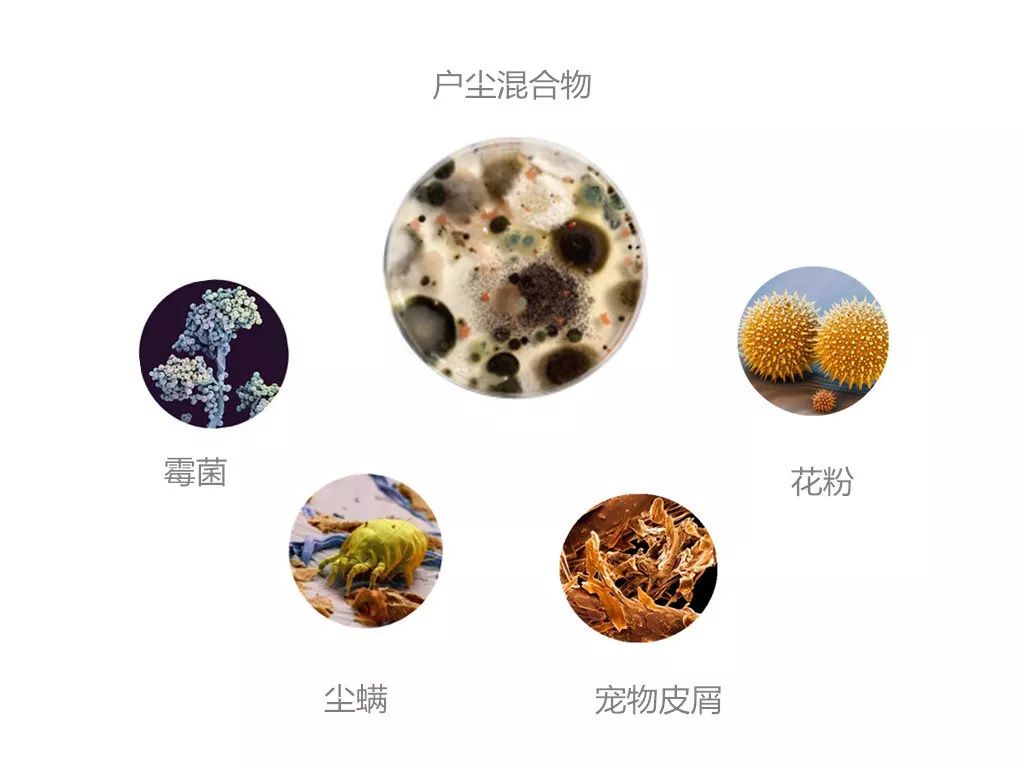 秘籍｜入春换季，生活不易，敏感肌不叹气