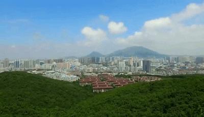 金普新区更新改造房价,大连金普新区房价限购吗