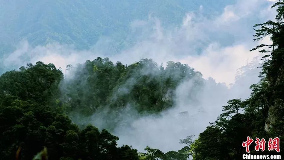 3月有哪些景点免票,三月八日哪些旅游景点免门票