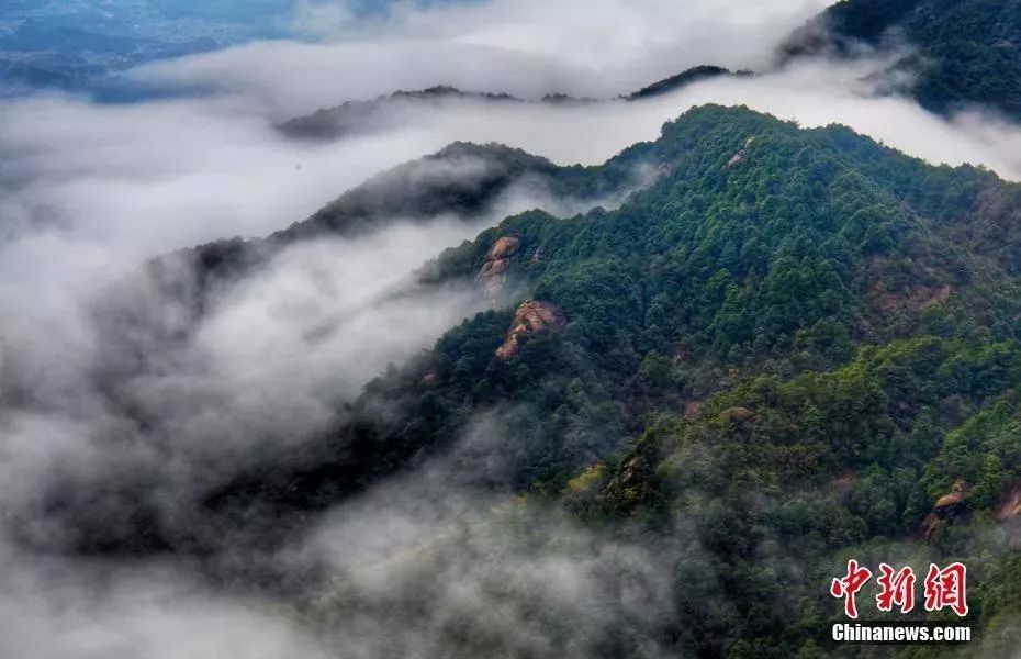 3月有哪些景点免票,三月八日哪些旅游景点免门票