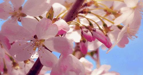 两年一度的女性“风云榜”揭晓啦!找一找,有你熟悉的身影吗?