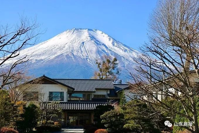 商报旅行家首发日本定制团，共迎烂漫四月天！3月10日说明会开始抢位……