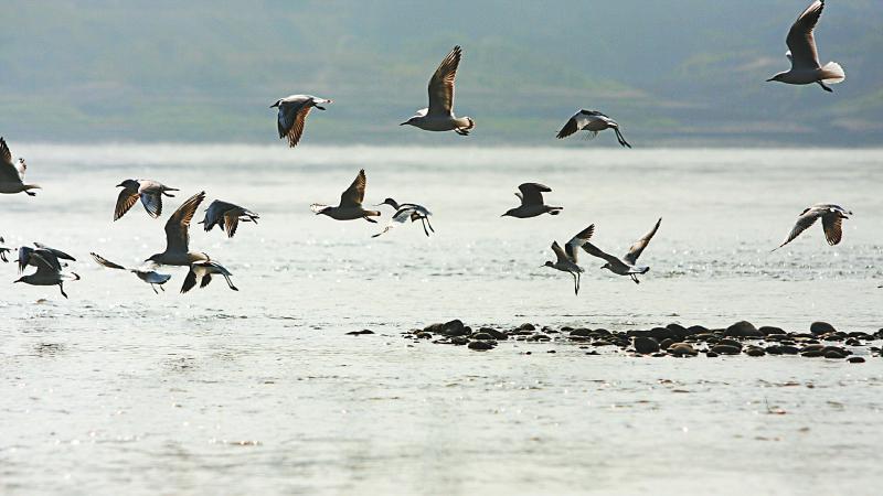 泸州争创全省经济副中心,泸州已被定为四川经济副中心了吗