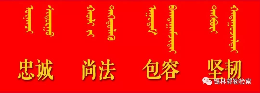 人物|照日木图“蒙古马”精神的践行者