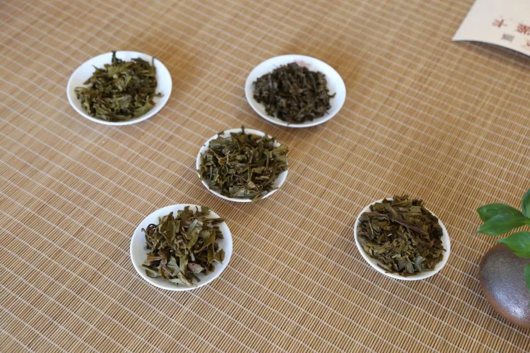 大厂茶对比,大厂茶到底好不好