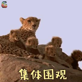 西海岸新区最新公交线路,西海岸新区地铁规划线路图