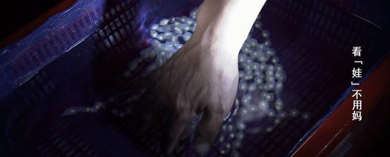 鱼爸孵卵，野猪打洞，蜂王也能把钱赚！