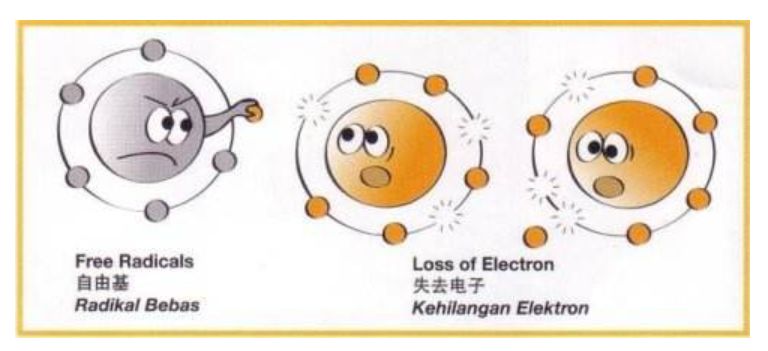 种草护肤补水平价,种草健康运动