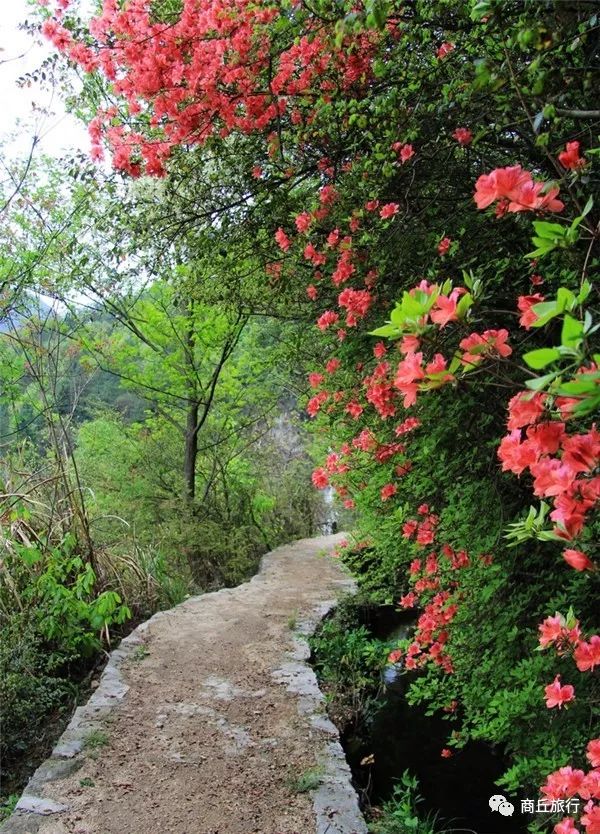 寿县古城自驾一日游攻略,淮南寿县古城免费一日游自驾推荐