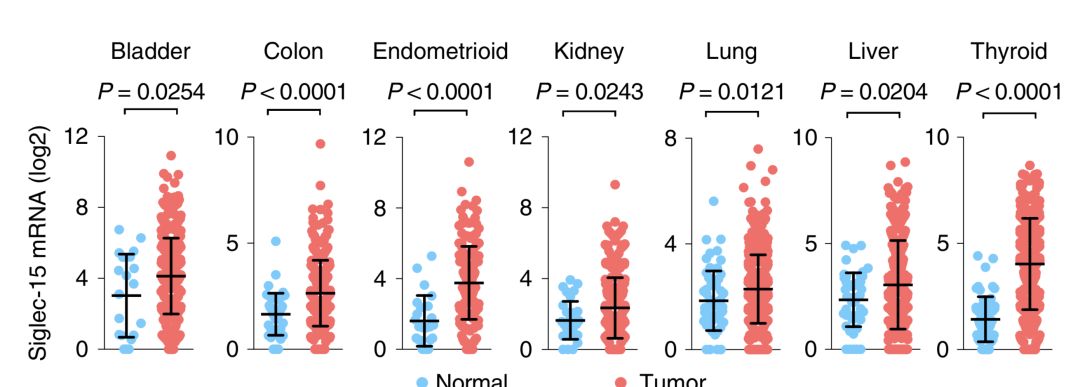 pd-1什么时候研究成功的,pd-1防止爆发性进展