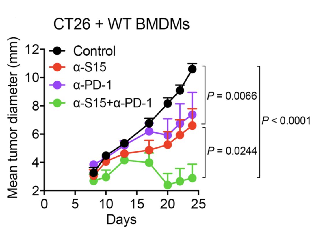 pd-1什么时候研究成功的,pd-1防止爆发性进展