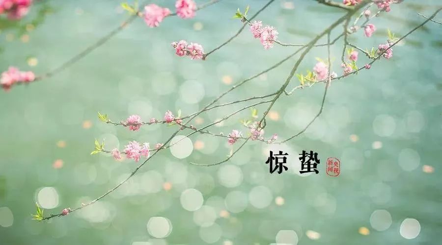 惊蛰后下雨的天气,惊蛰和今天的气温