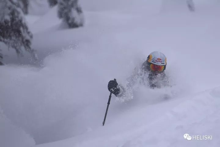 粉雪陡坡滑行技巧,可可托海粉雪滑行技巧
