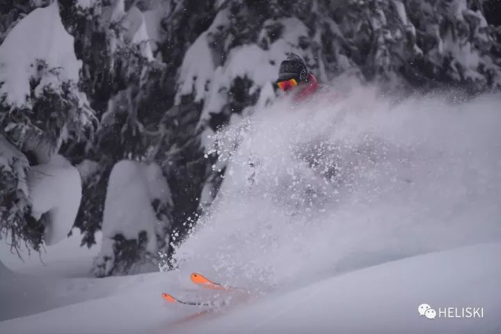 粉雪陡坡滑行技巧,可可托海粉雪滑行技巧