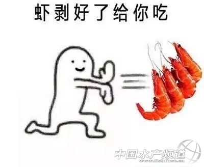 吃了这么多年鱼,虾的品种和口感有什么区别