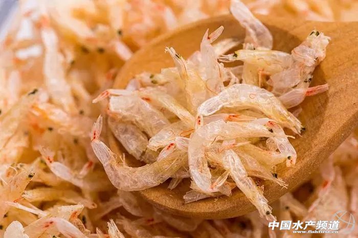 吃了这么多年鱼,虾的品种和口感有什么区别