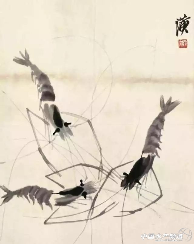 吃了这么多年鱼,虾的品种和口感有什么区别