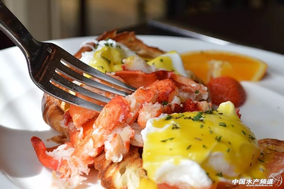 吃了这么多年鱼,虾的品种和口感有什么区别