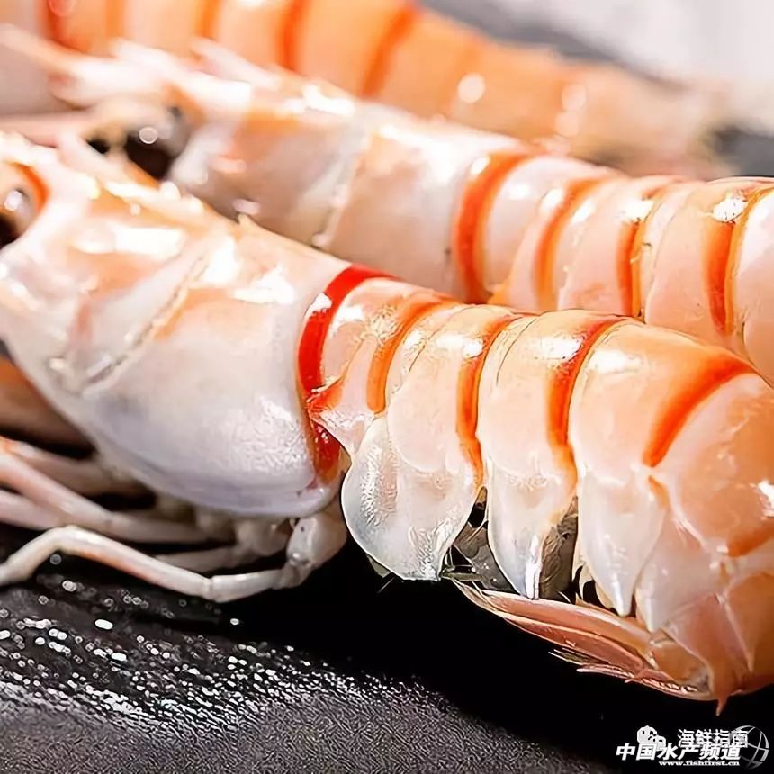 吃了这么多年鱼,虾的品种和口感有什么区别
