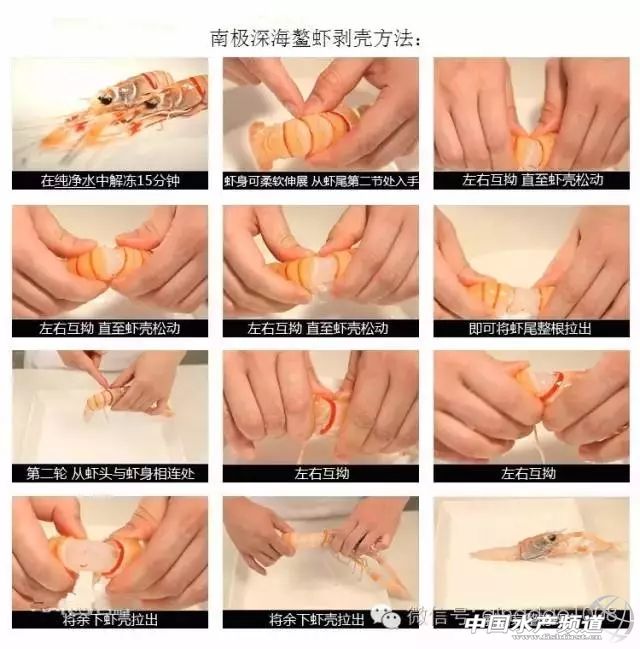 吃了这么多年鱼,虾的品种和口感有什么区别