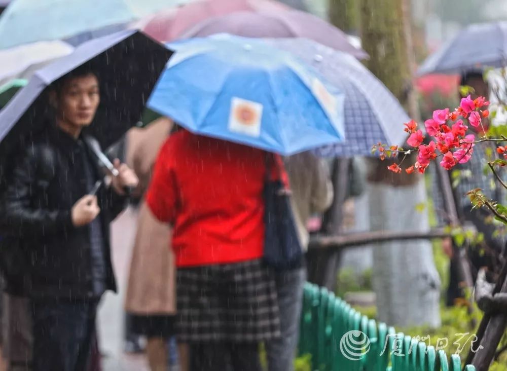 惊蛰后下雨的天气,惊蛰和今天的气温