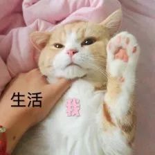 惊蛰后下雨的天气,惊蛰和今天的气温