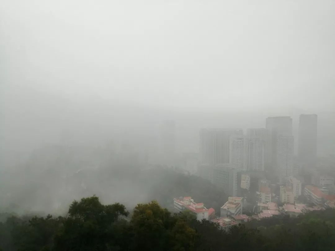 惊蛰后下雨的天气,惊蛰和今天的气温