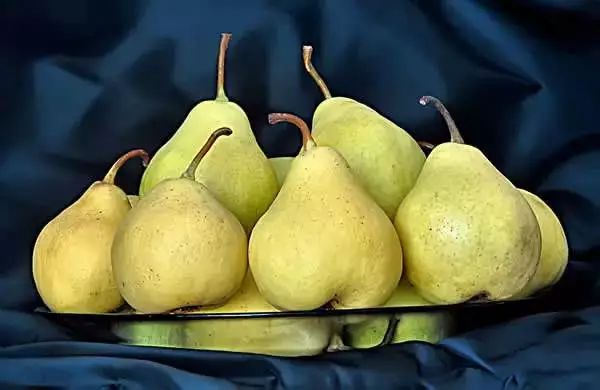 惊蛰后下雨的天气,惊蛰和今天的气温