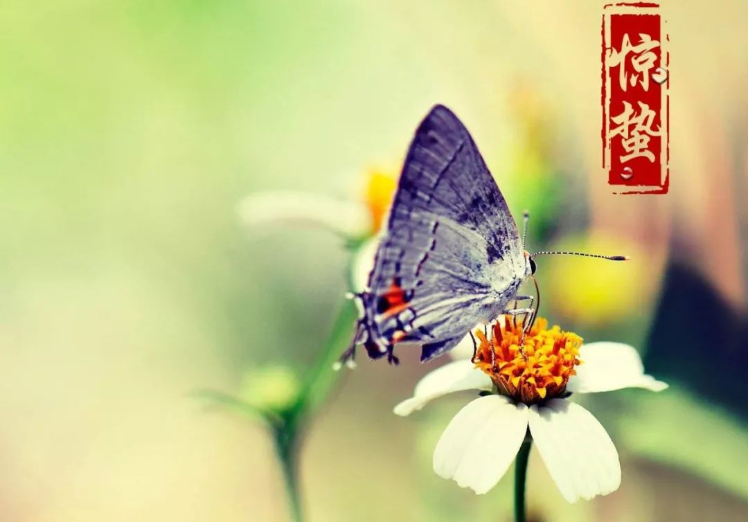 昌平踏青旅游攻略,昌平踏青好玩的地方