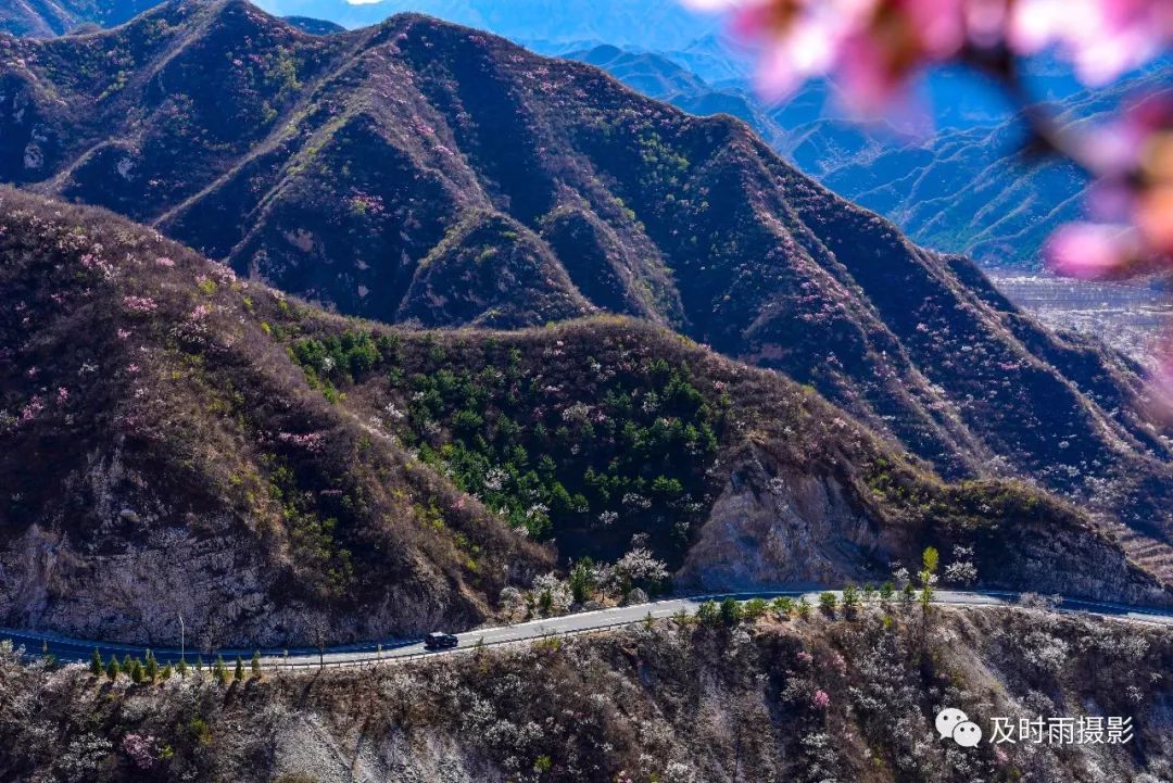 昌平踏青旅游攻略,昌平踏青好玩的地方