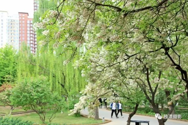 昌平踏青旅游攻略,昌平踏青好玩的地方