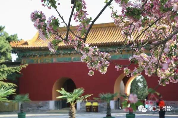 昌平踏青旅游攻略,昌平踏青好玩的地方