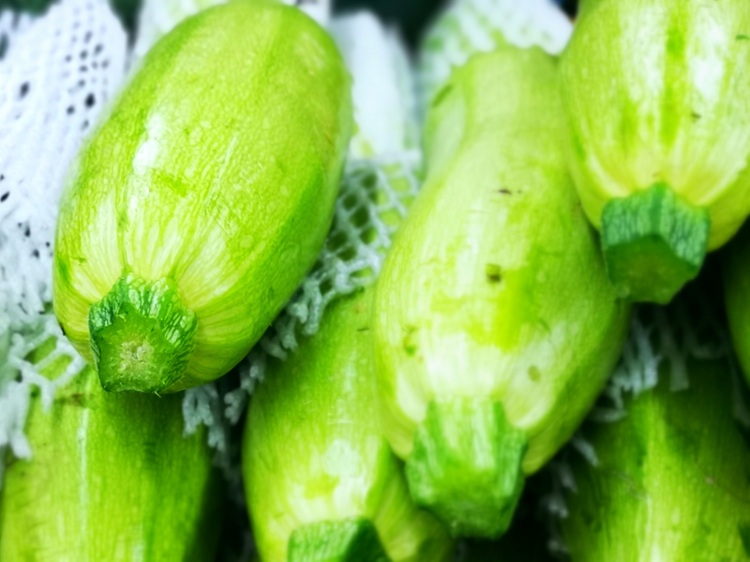 早起的鸟儿有虫吃用英语表达,早起的鸟儿有虫吃美句