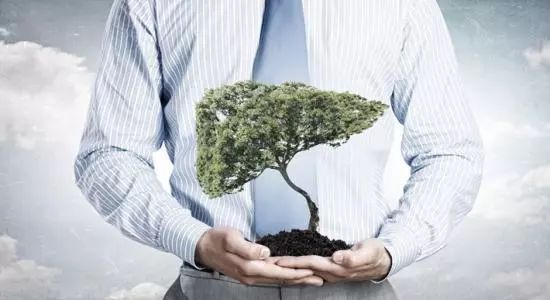 春季养肝六建议肝气血顺畅必强健,春季清肝明目养肝护肝喝什么汤好