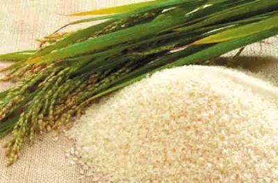 春季养肝六建议肝气血顺畅必强健,春季清肝明目养肝护肝喝什么汤好