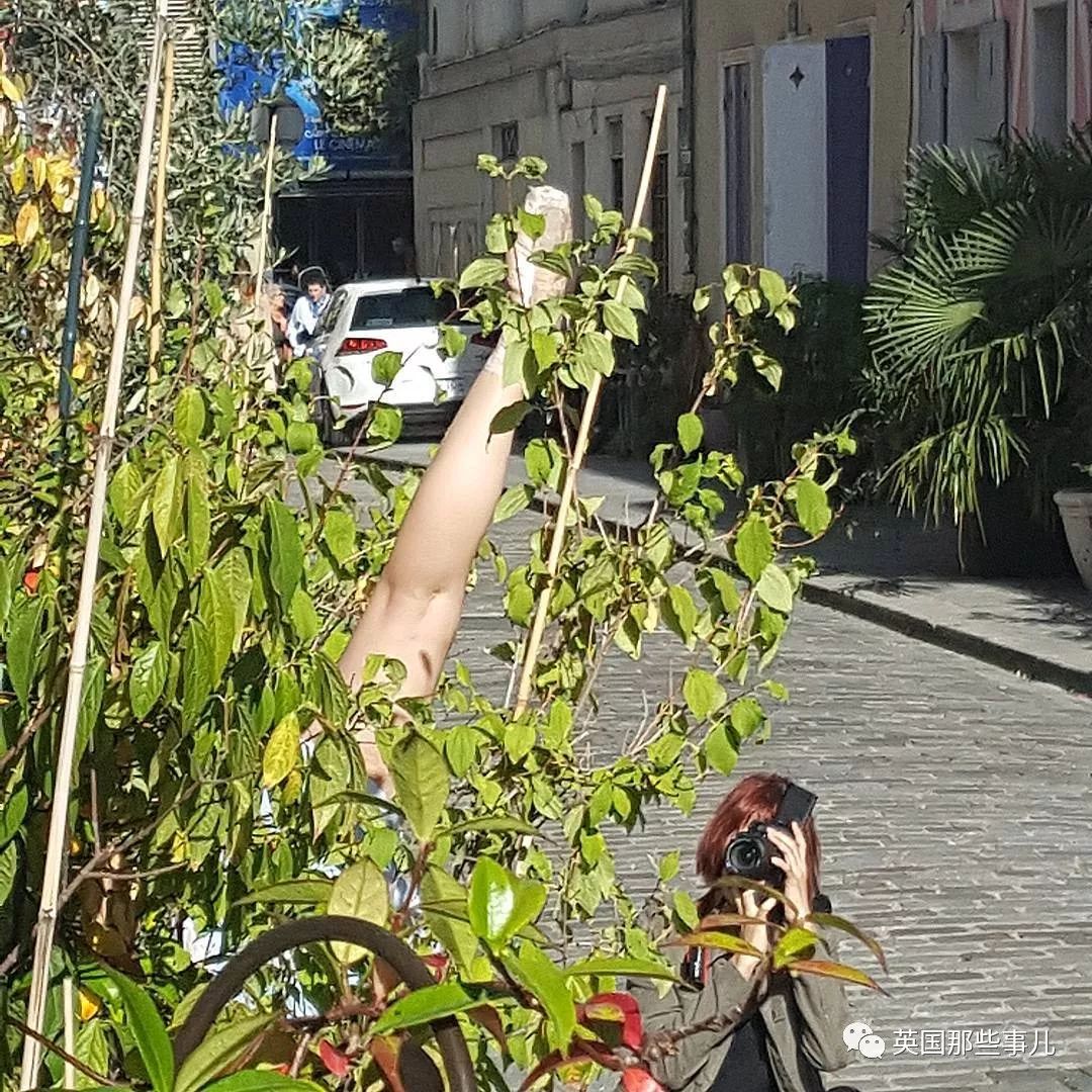 当自家门口变成网红打卡地 (一不小心家门口成了网红打卡地)