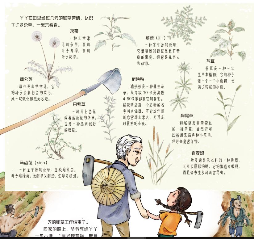 田野里的自然历史课读后感五年级,田野里的自然历史课pdf百度云