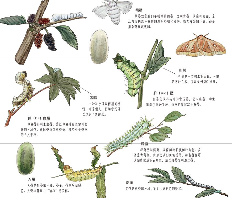 田野里的自然历史课读后感五年级,田野里的自然历史课pdf百度云