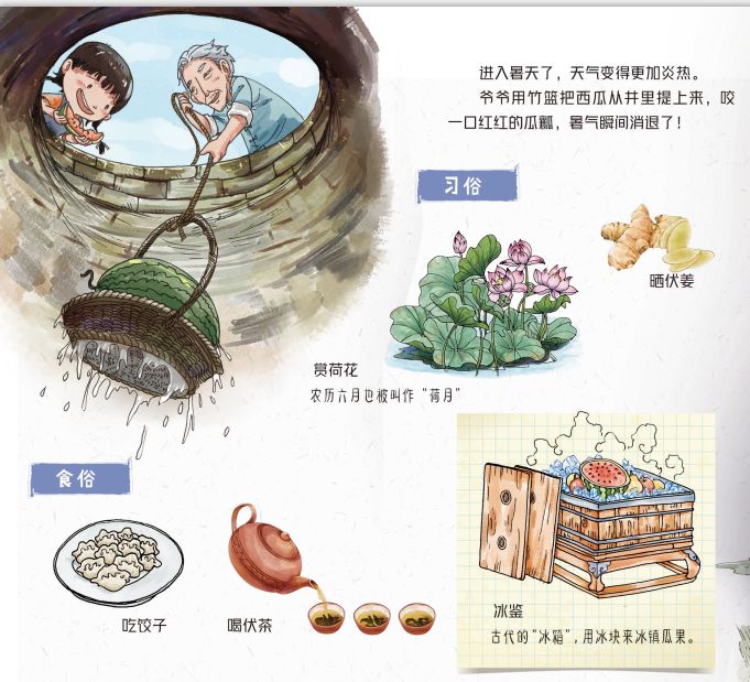 田野里的自然历史课读后感五年级,田野里的自然历史课pdf百度云