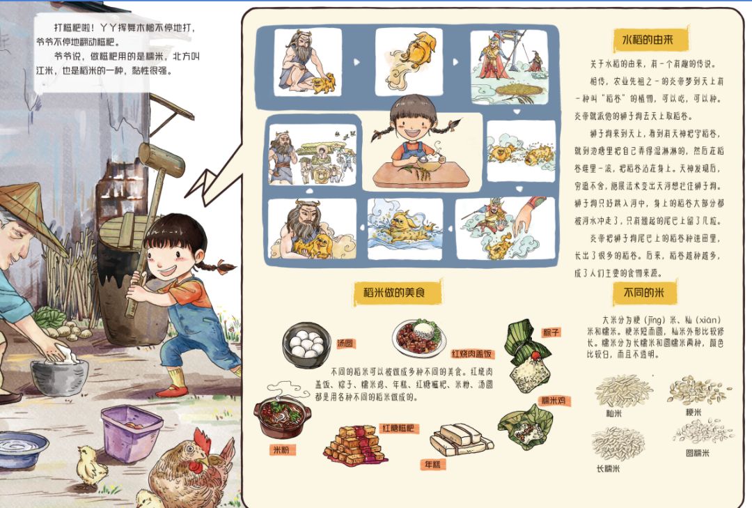 田野里的自然历史课读后感五年级,田野里的自然历史课pdf百度云