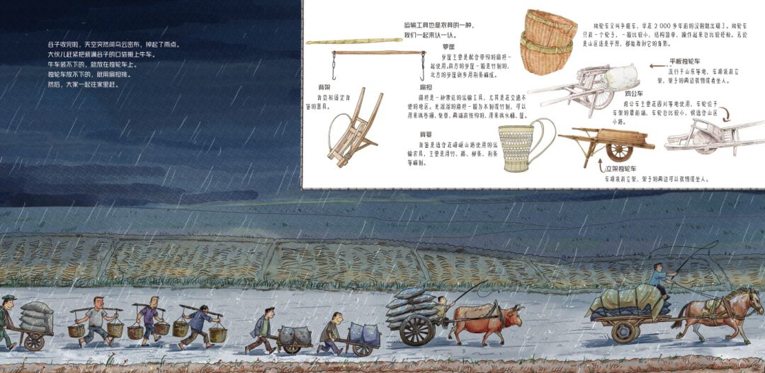 田野里的自然历史课读后感五年级,田野里的自然历史课pdf百度云